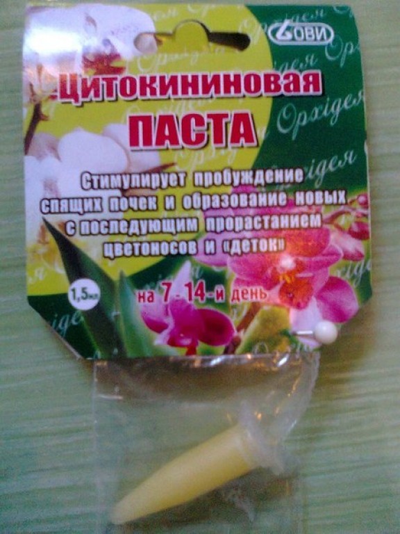 Цитокининовая паста для фиалок и орхидей: применение, меры безопасности